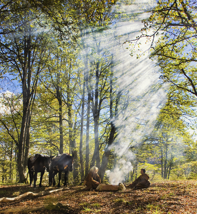 Càtars al bosc