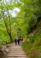 Excursions guiades per VIOGUIA