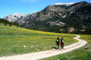 Caminant
