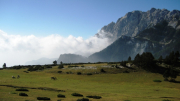 Coll de les Bassotes