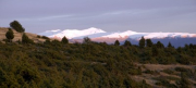 El puigmal des del coll de posa 2