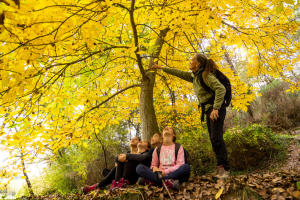 Excursions guiades per VIOGUIA