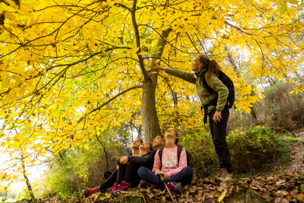 Excursions guiades per VIOGUIA