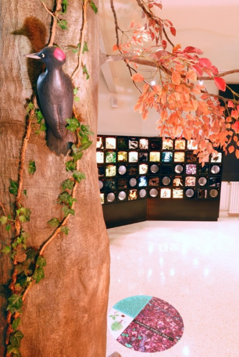 Parc natural interior