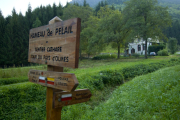 Pelail