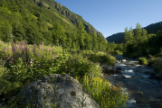 Riu de l'Arieja, a prop de Mérens-les-Vals, Arieja