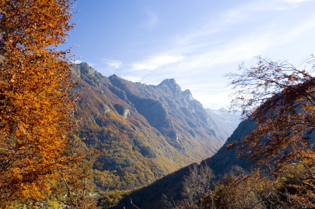 Vall d'Orlú, Arieja