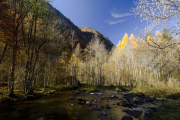 Riu l'Oriège, Arieja