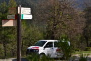 Taxitrail
