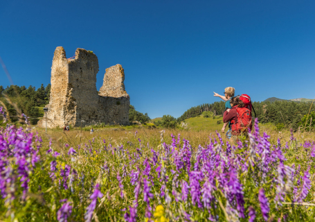 Castillo de Montaillou