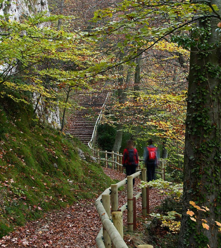 Caminito cerca del Santuario de Queralt