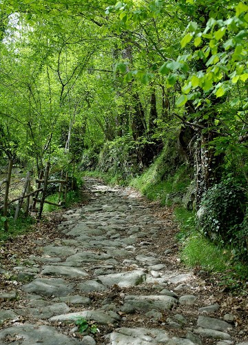 Caminito de montferrer