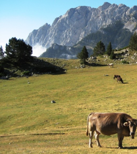 Bassotes Pass