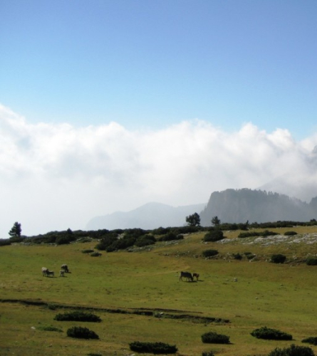 Coll de les Bassotes