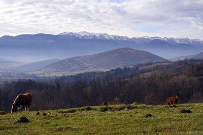 Cadí from the Meranges