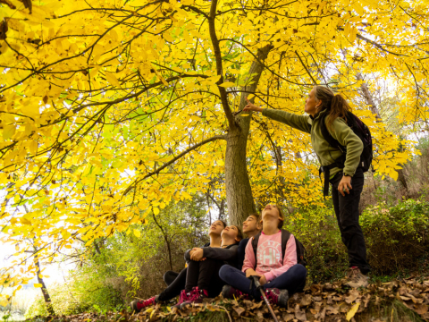 Excursiones guiadas por VIOGUIA