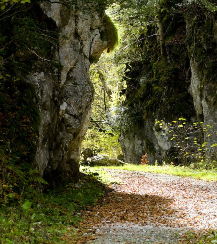 Gorges de la frau