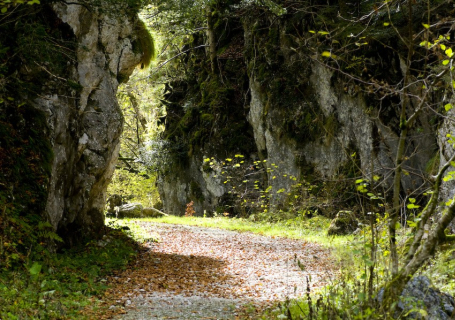 Gorges de la frau