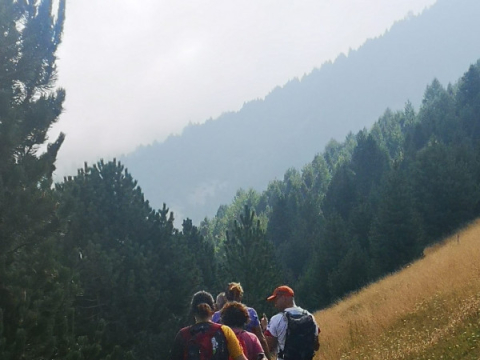 Mountain walkers 1
