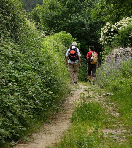 Caminito de Prullans en Ardòvol