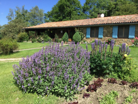La Serre de Marou_ B&B