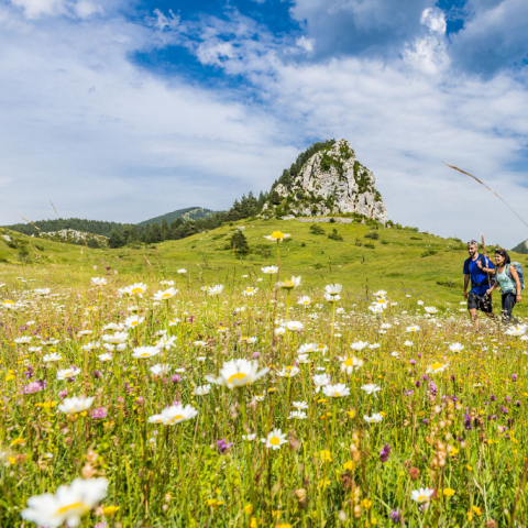Peguera con flores