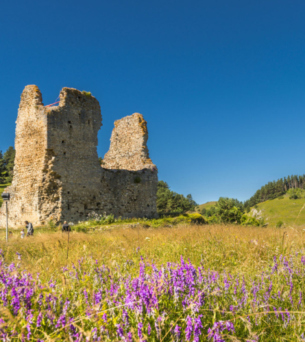 Castillo de Montaillou