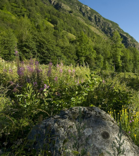 Ariege River, near Mérens-les-Vals, Ariege