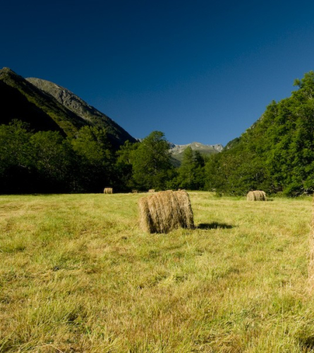 Campo próximo a Mérens-les-Vals, Arieja