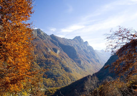 Vall d'Orlú, Arieja