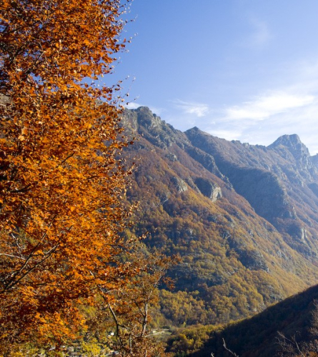 Vall d'Orlú, Arieja
