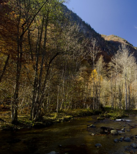 Río l'Oriège, Arieja