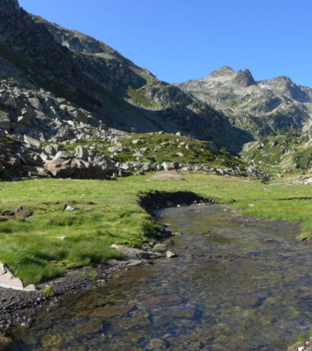 Reserva Nacional de Orlu